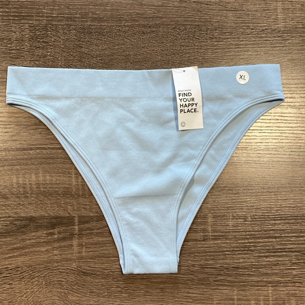 NWT - Gilly Hicks Ribbed Seamless Cheeky Panties - Light Blue - XL